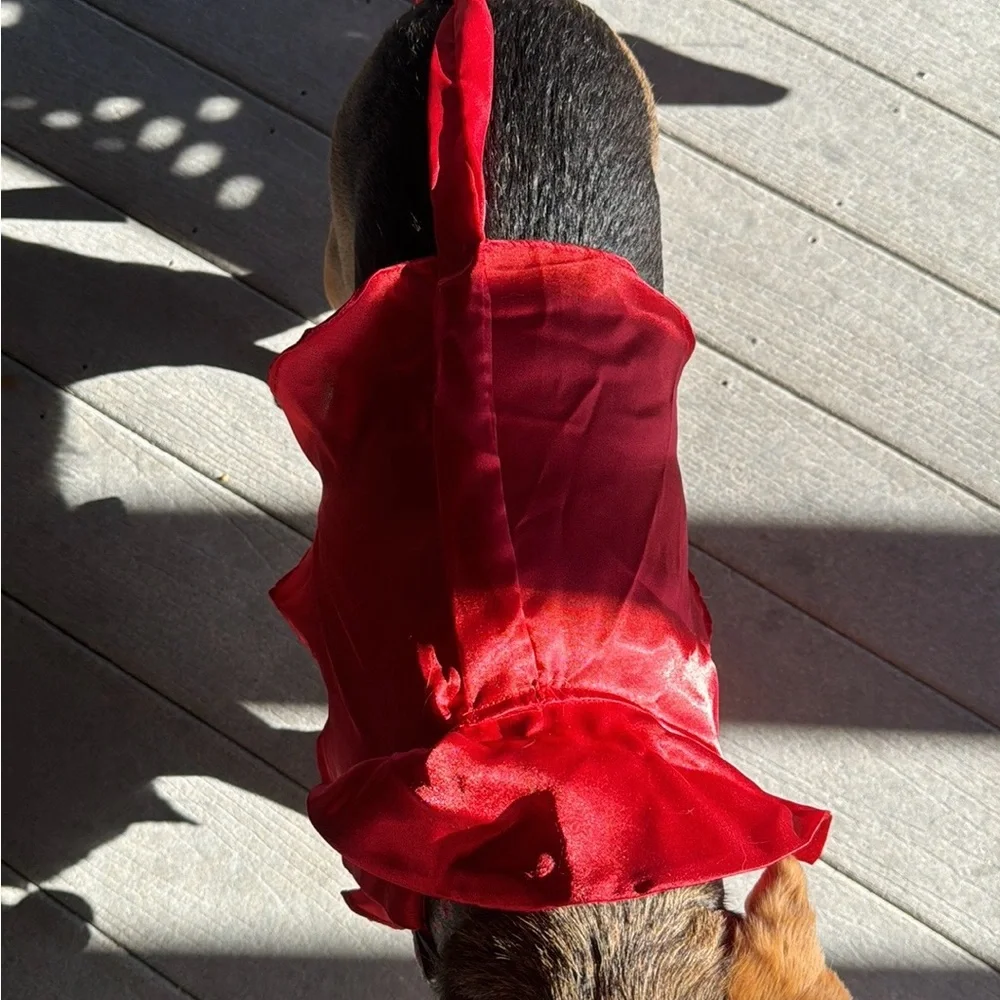 Small/medium DWF brand Devil Dog Costumes Halloween